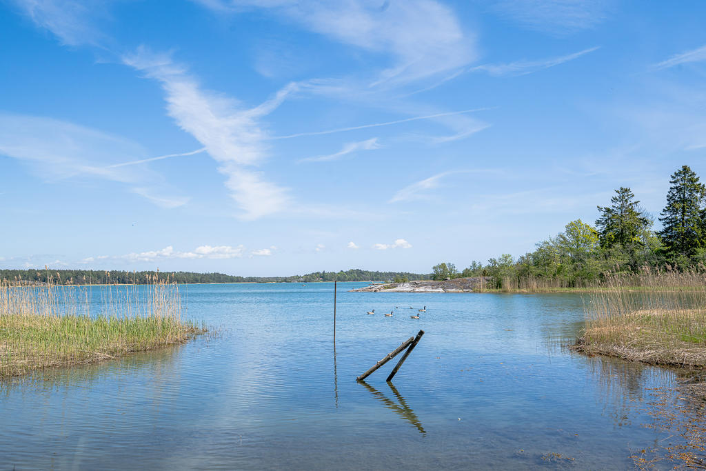 Havet! Här är platsen att anlägga brygga på!