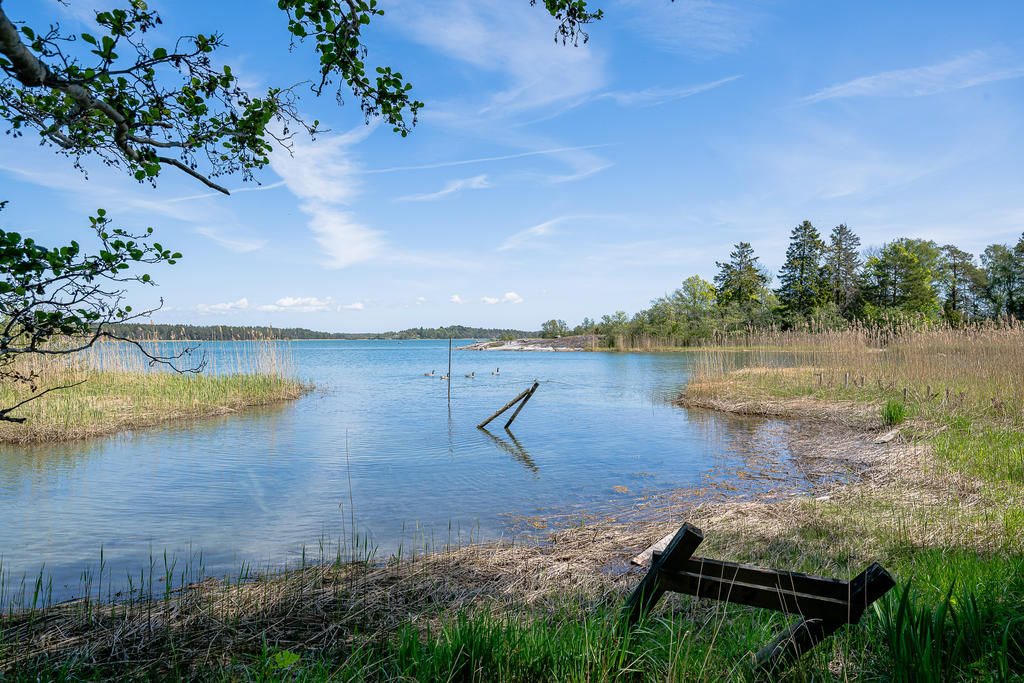 Havet! Plats att anlägga egen brygga på