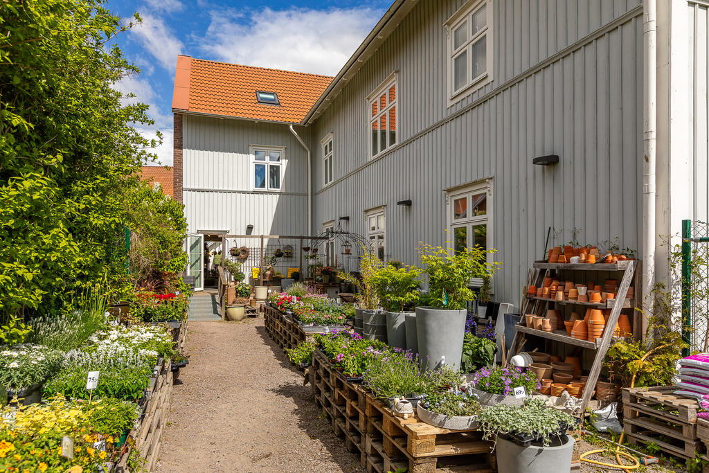 Allfargatan 13 - Yta för blomsterbutik