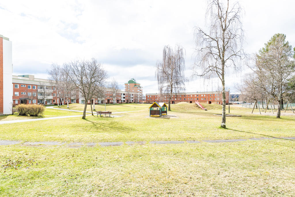 Härligt närområde