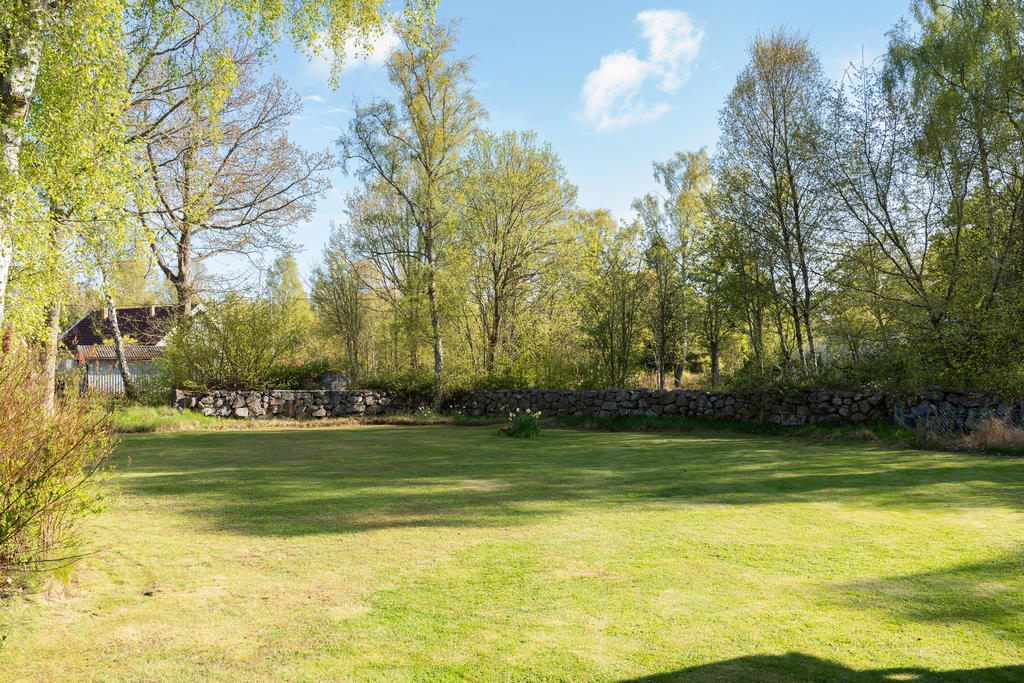 Trädgården