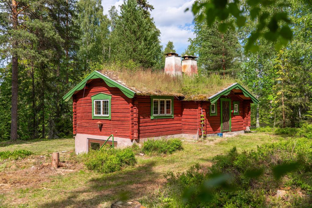 Huduvbygganden med - för trakten - ett sällsynt Sedumtak (grästak)
