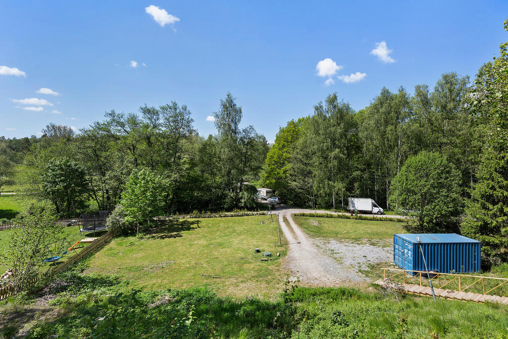 Stor och plan tomt ramas in av nyplanterade tujor längs tomtgränsen.