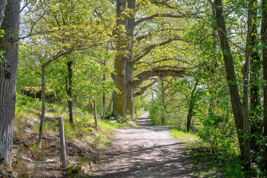 På väg till badet på Borgmästarholmen