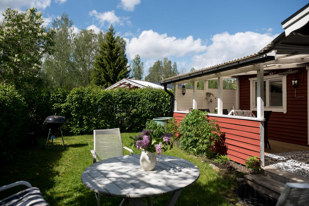 Trädgård.