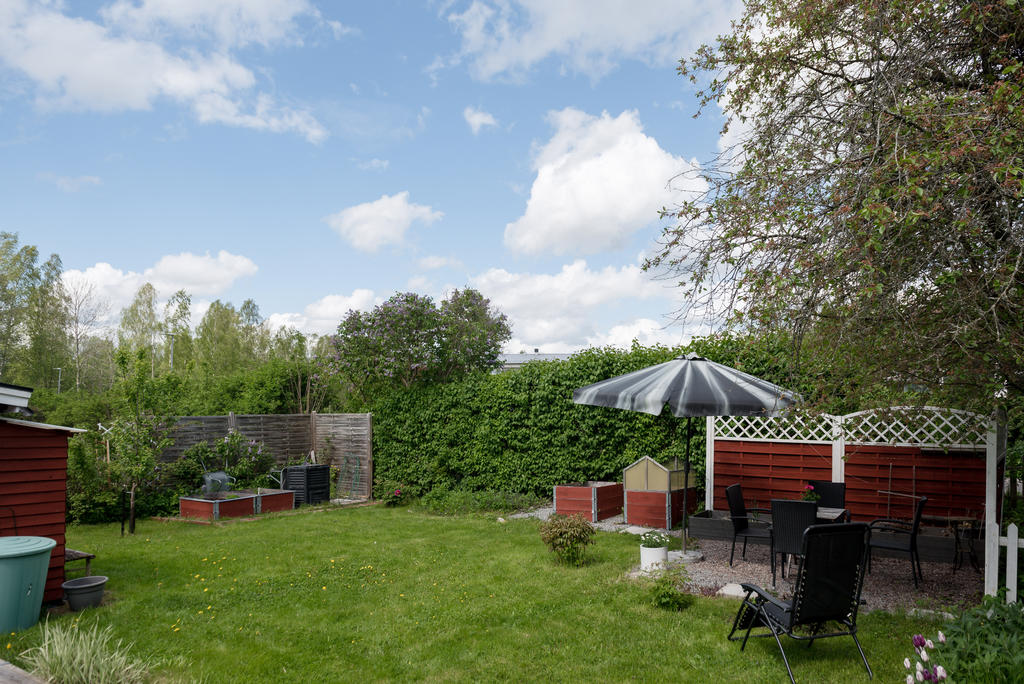 Trädgård.