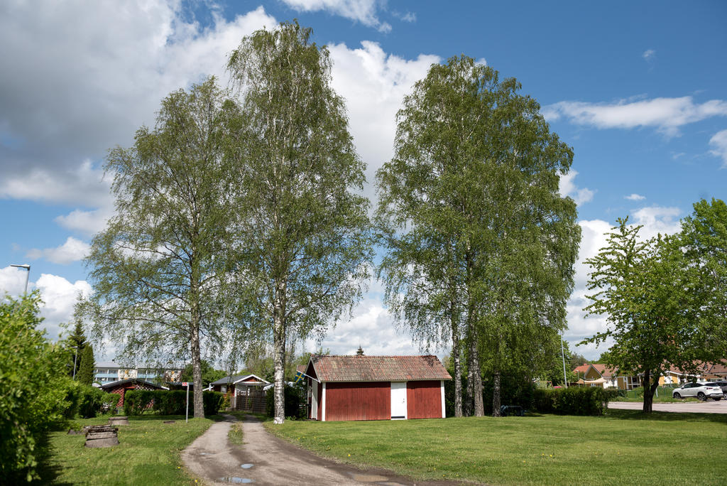 Område.