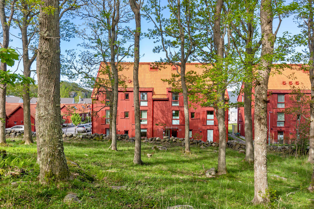 Vacker ekskog