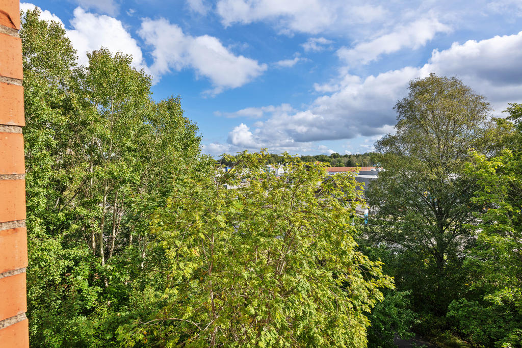 Utsikt från balkongen