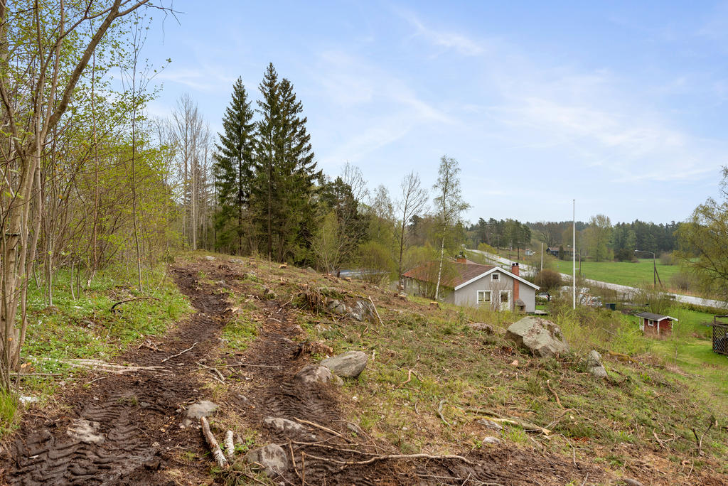 Tidigare bild från 2021.  Idag har säljaren grusat upp en väg in på tomten