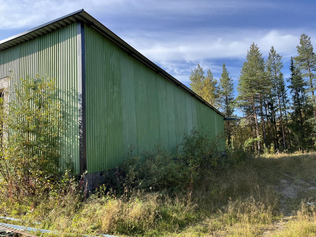 Säljarens sommarbild