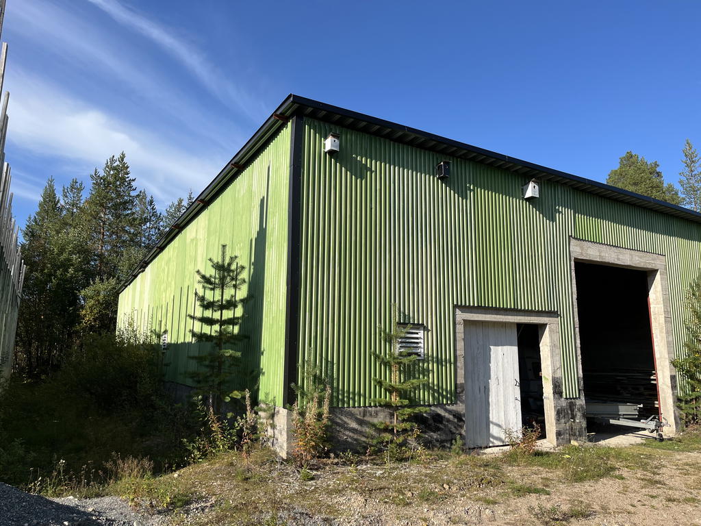 Säljarens sommarbild