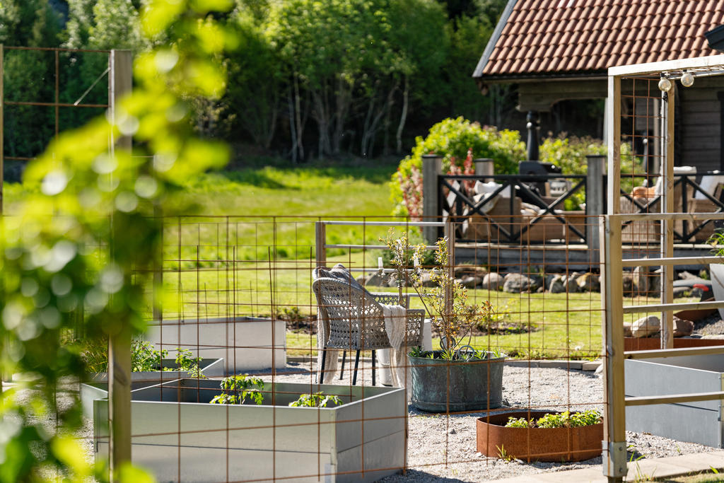 Plantera en klätterväxt längs armeringsjärnen så blir det en grön oas.