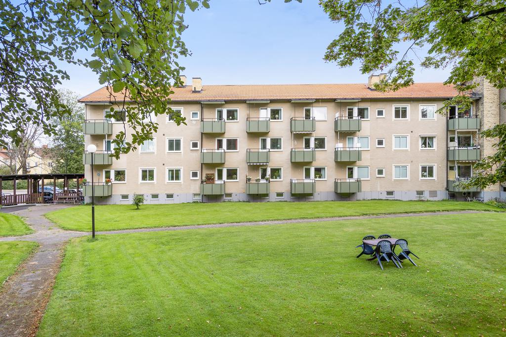 Härliga grönytor