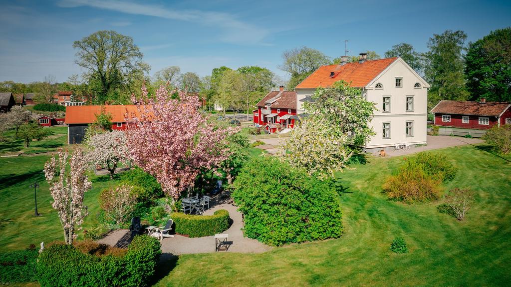 Härlig uppvuxen trädgård med uteplats under skuggande träd
