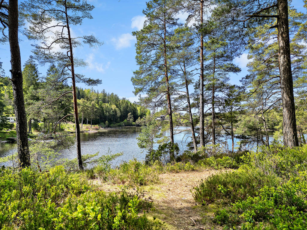 Somrig känsla i området!