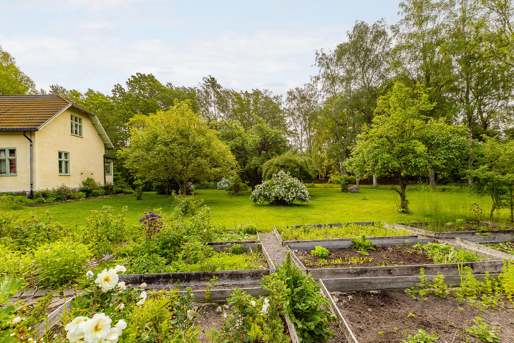 Rymlig trädgård