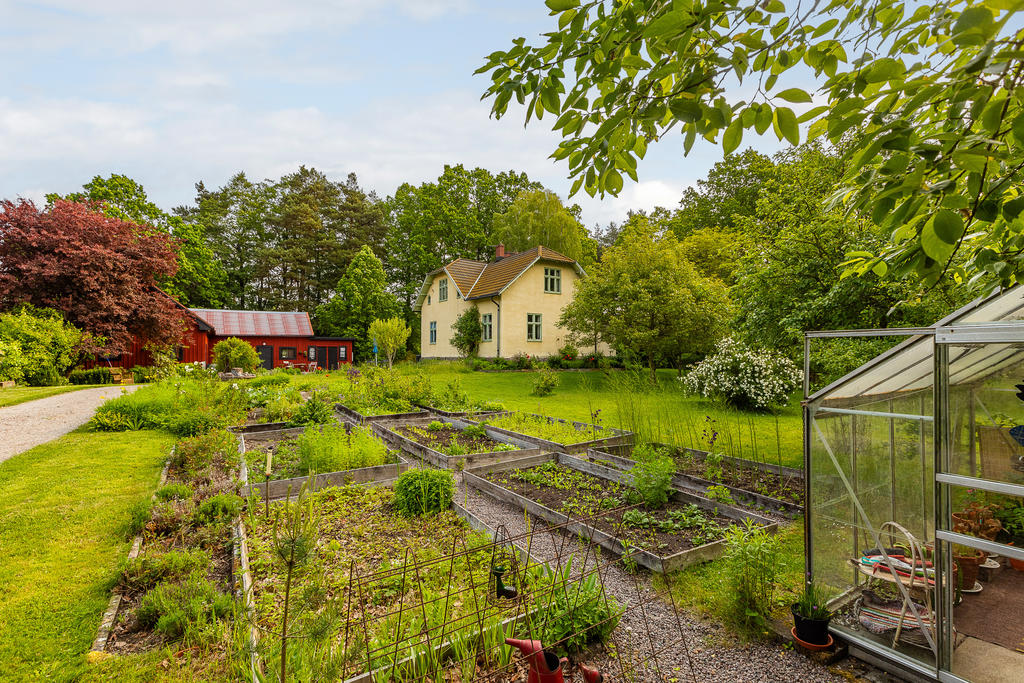 Odlingsmöjligheterna är stora