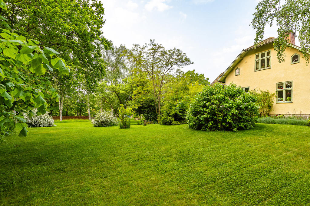Rymlig trädgård