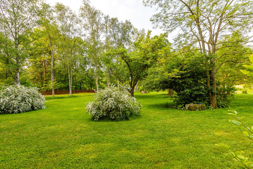 Uppväxt och omhändertagen trädgård
