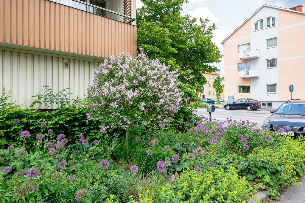Vackra rabatter vid husets entré