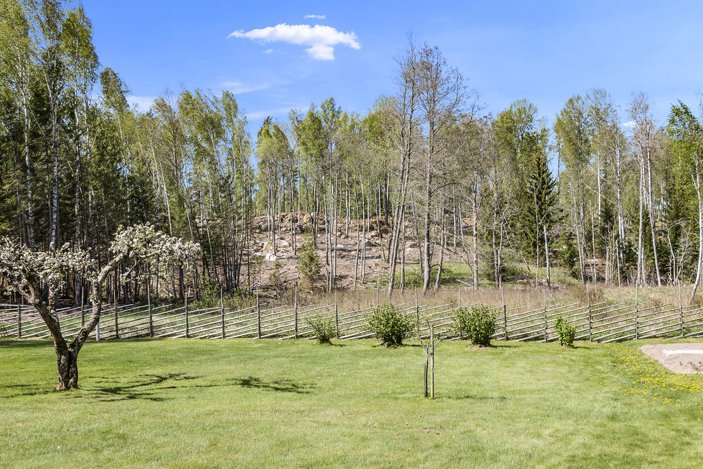 Vacker gärdsgård ramar in trädgården