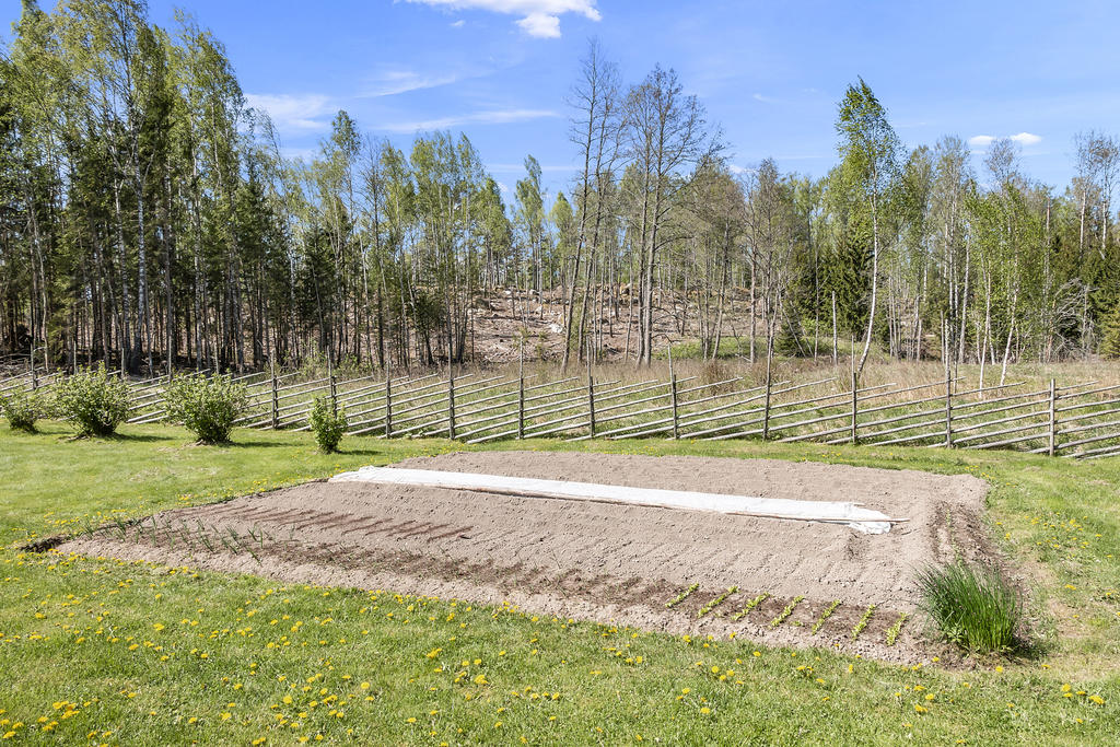 Trädgårdsland 