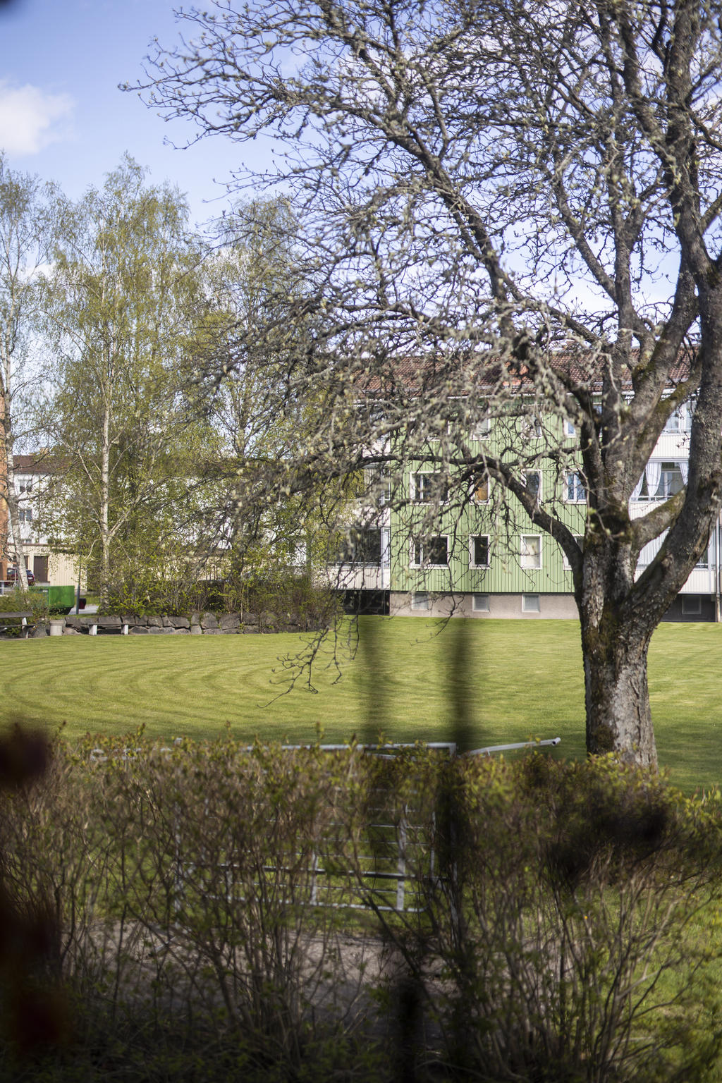 Vy från köksfönster