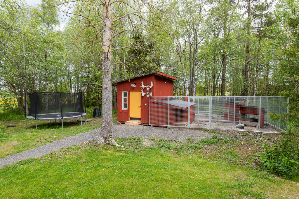 Stor och fin hundgård.
