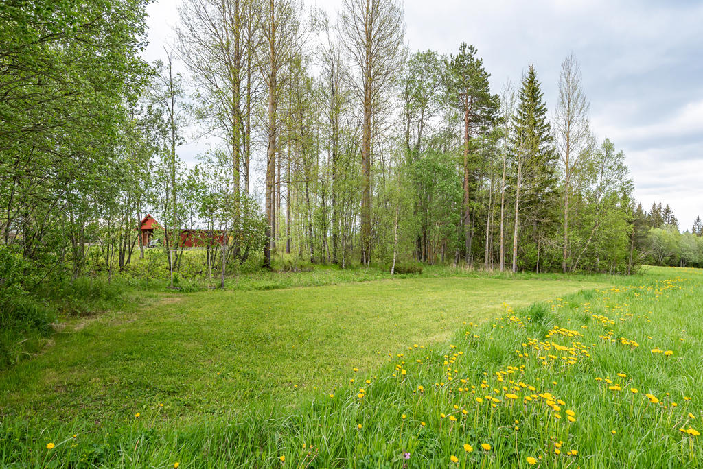 Stor gräsyta med plats för odling eller fotbollsplan till barnen
