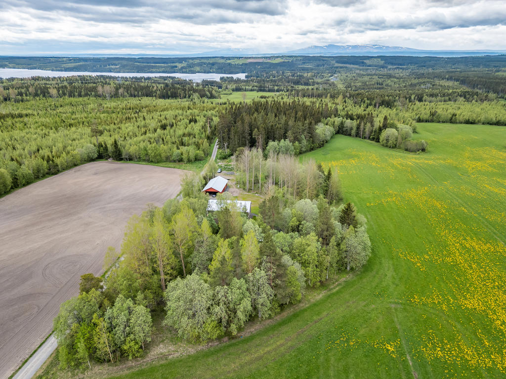 Vy över över tomten med Oviksfjällen i bakgrunden 