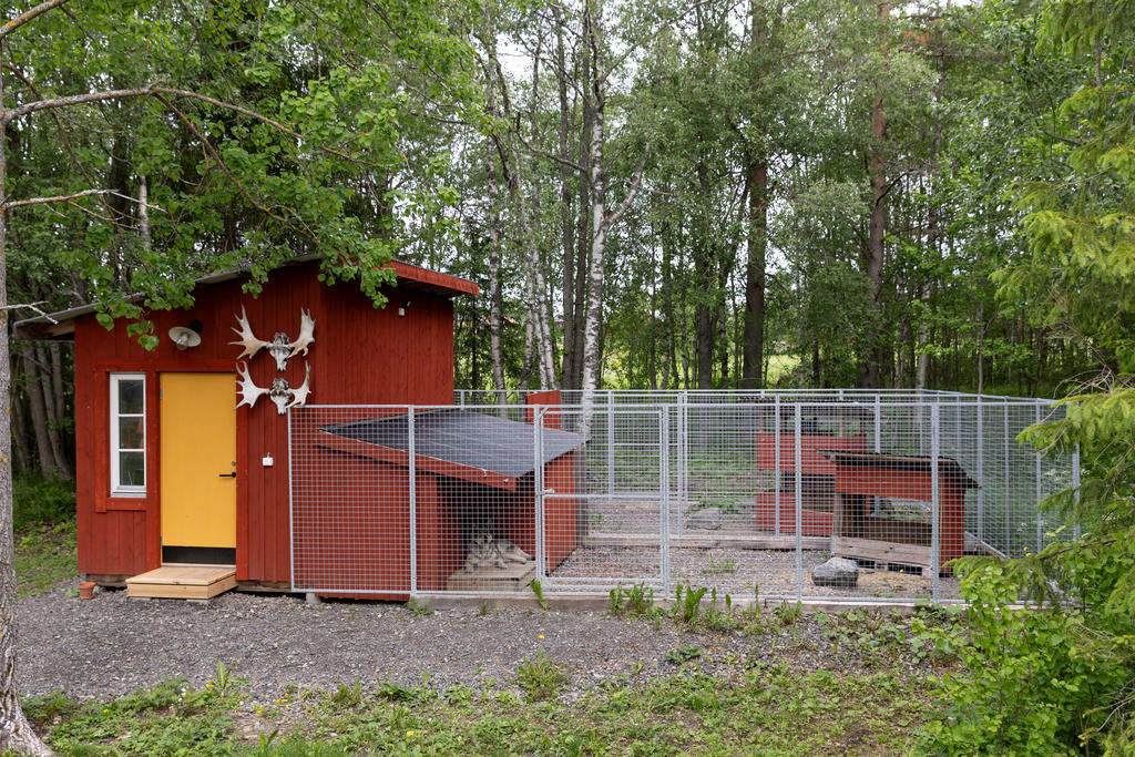 Förråd/Hundgård