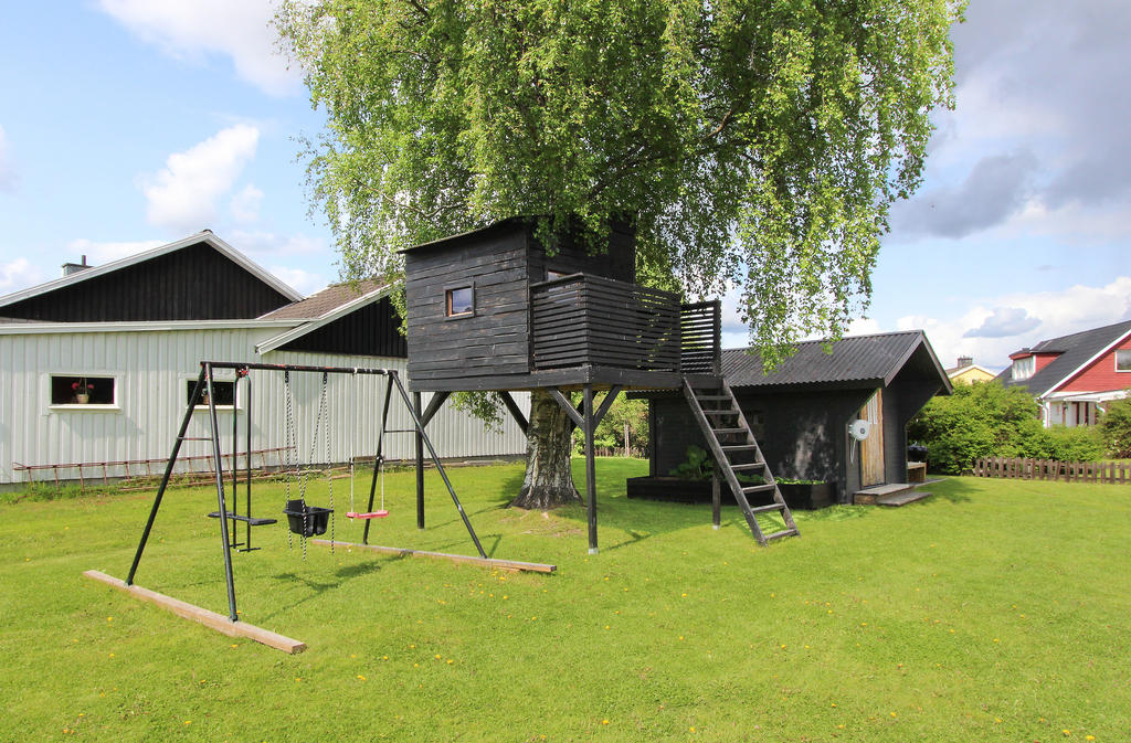 Trädkoja