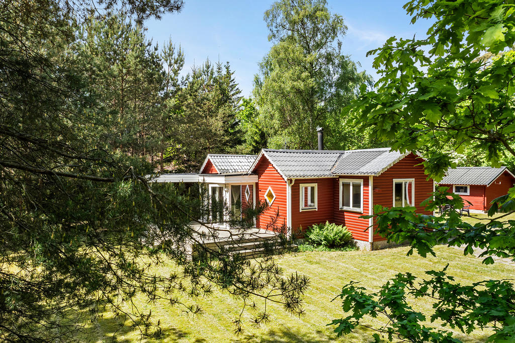 Mellan träden skymtar ett hem i grönskan.