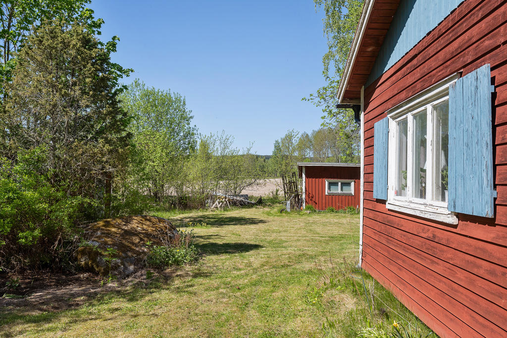 Trädgård