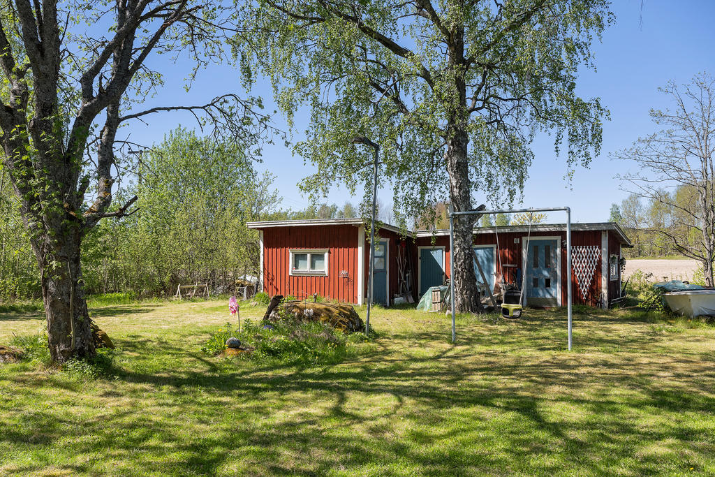 Trädgård
