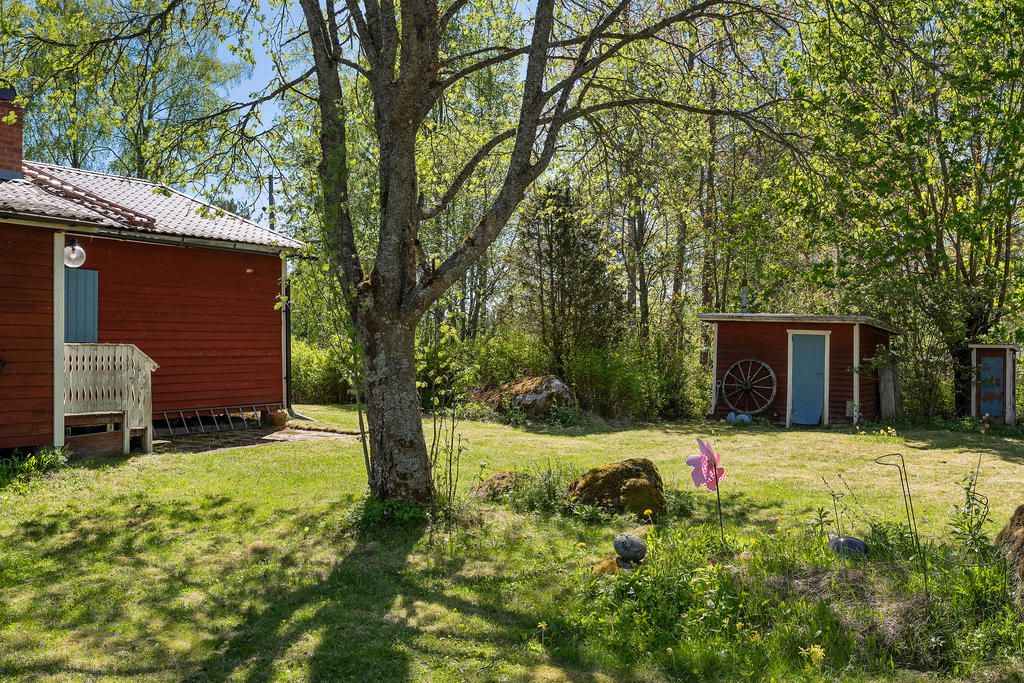 Trädgård