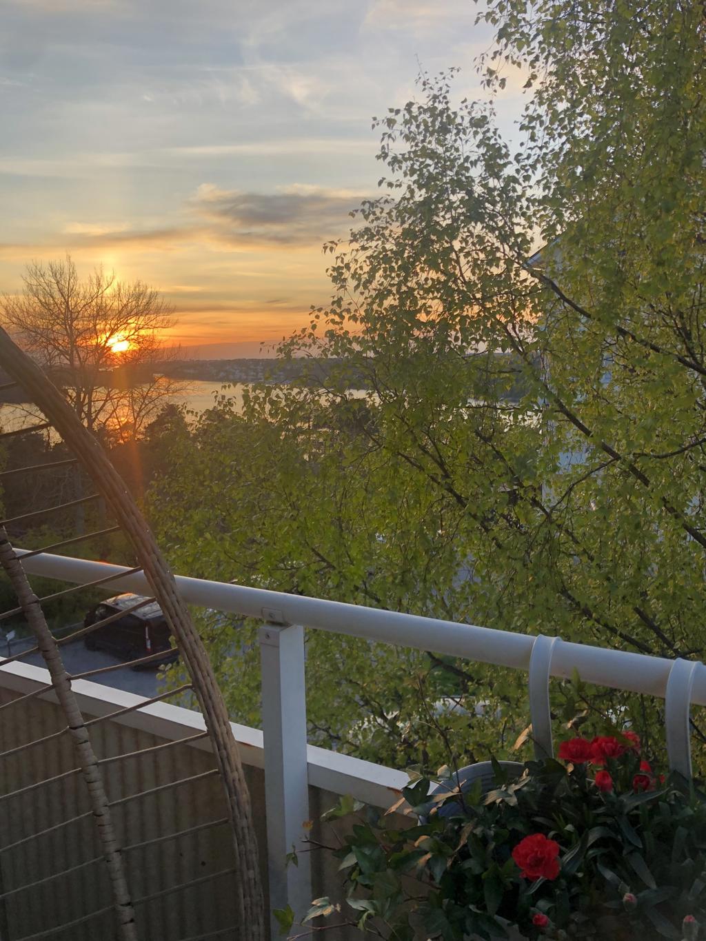 Säljarens bild