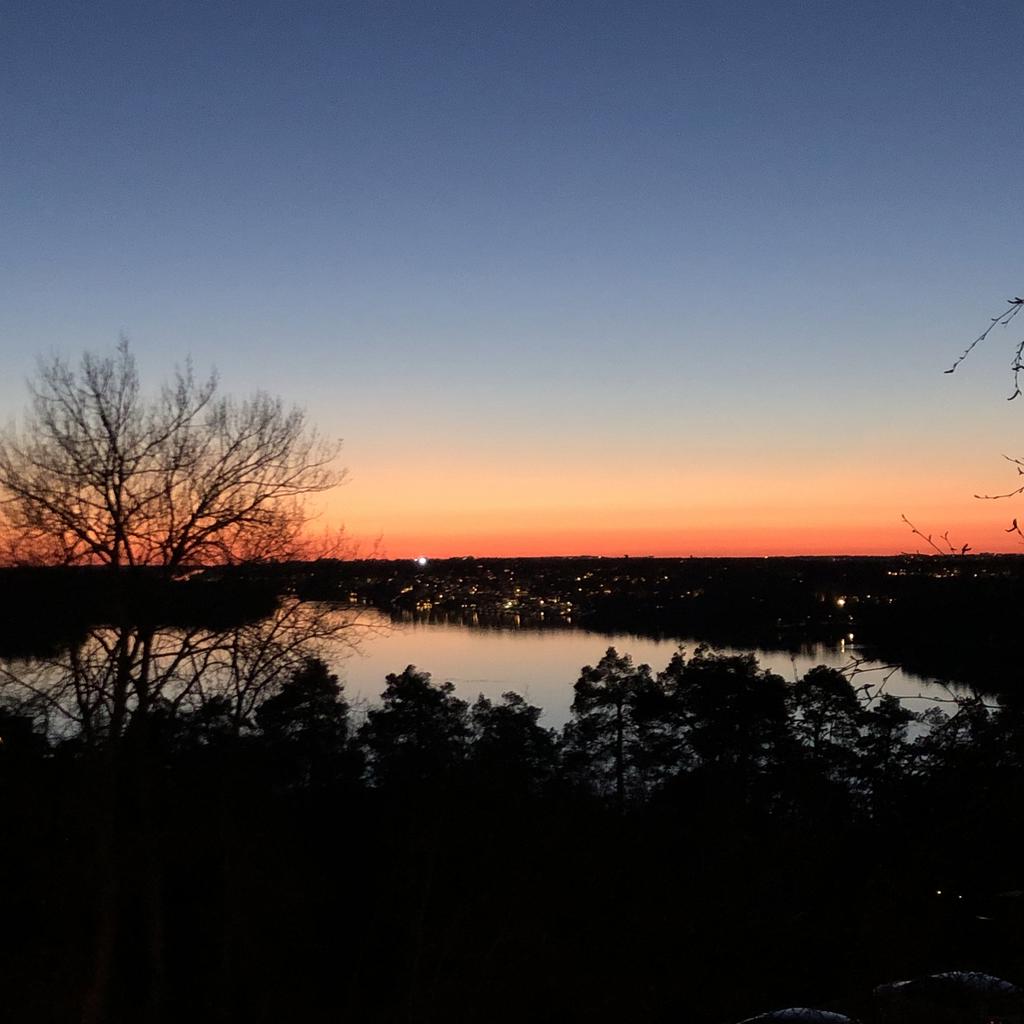 Säljarens bild