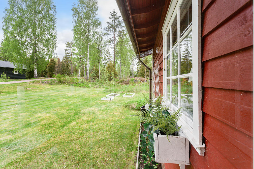 Trädgård