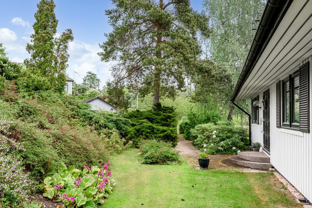 Uppväxt och trevlig utemiljö