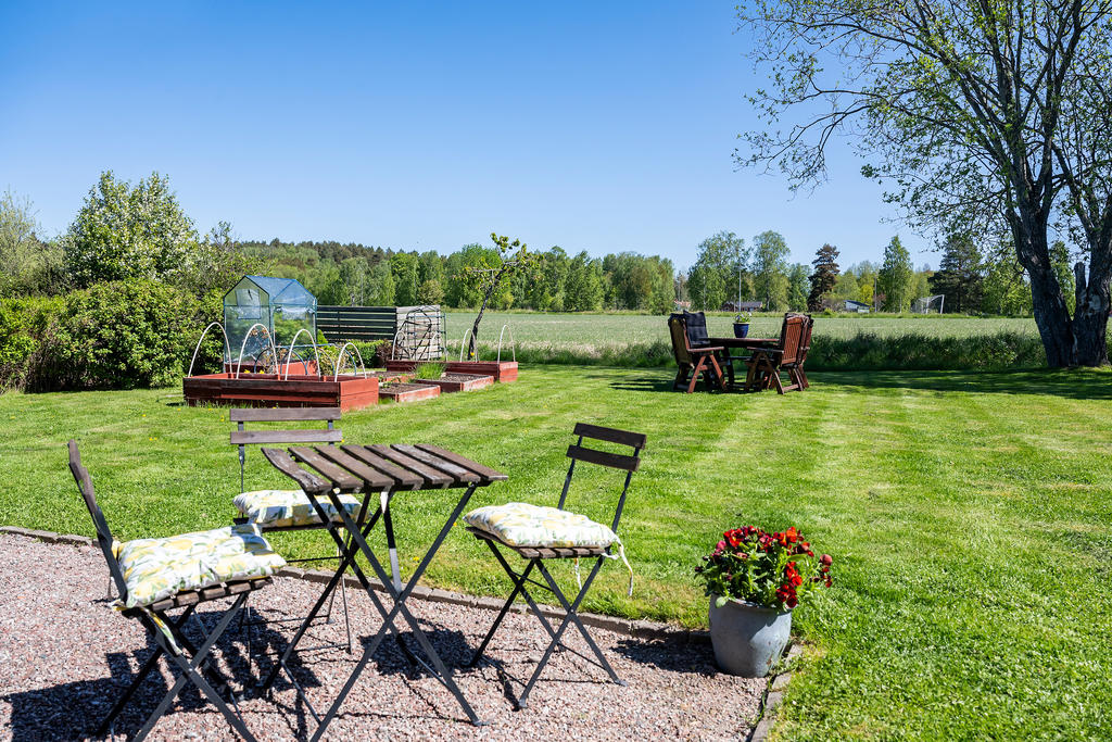 Trädgård