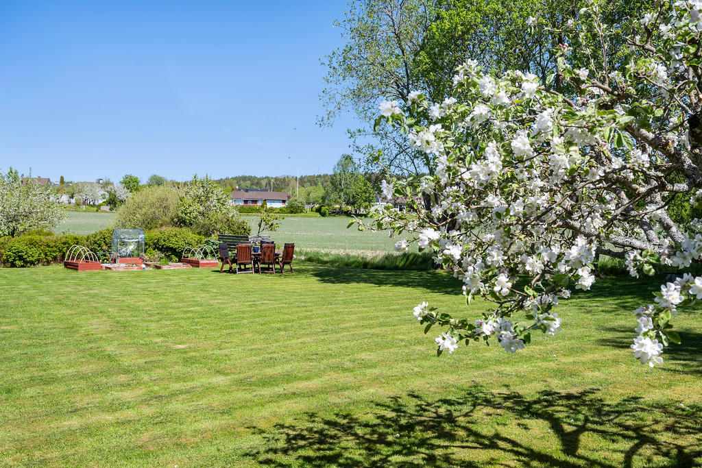 Trädgård