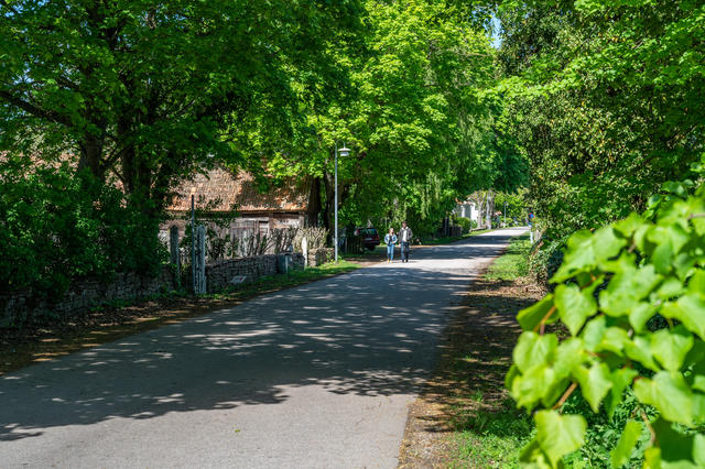 Områdesbilder