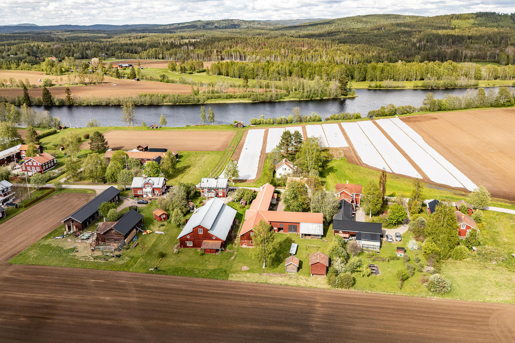 En gård med tillhörande mark runt gården och ned mot älven. 