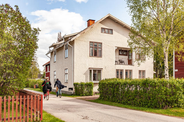Hagen 132