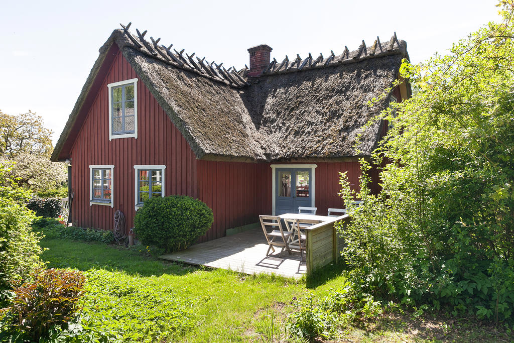 Uteplats i lummig grönska