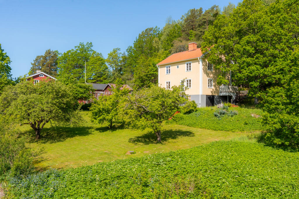 Trädgårdssida