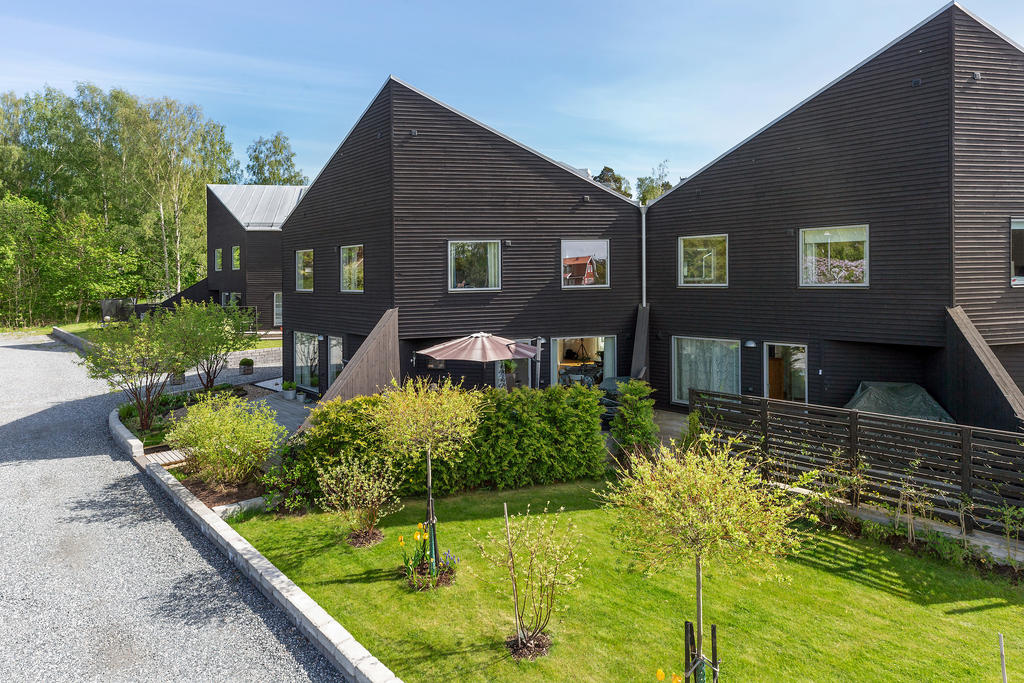 Ogenerat läge med kvällsol på baksidan
