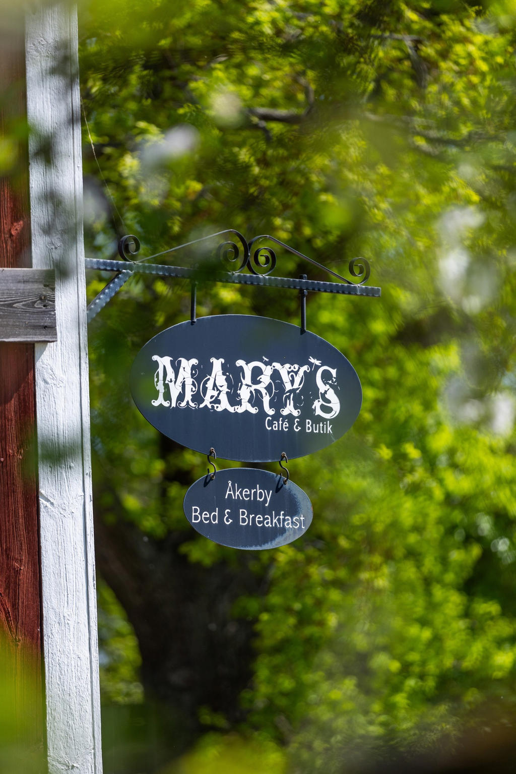 Mary's Café Barbecue